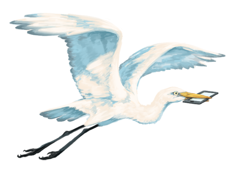 A white heron flies through the air with a smartphone in its beak
